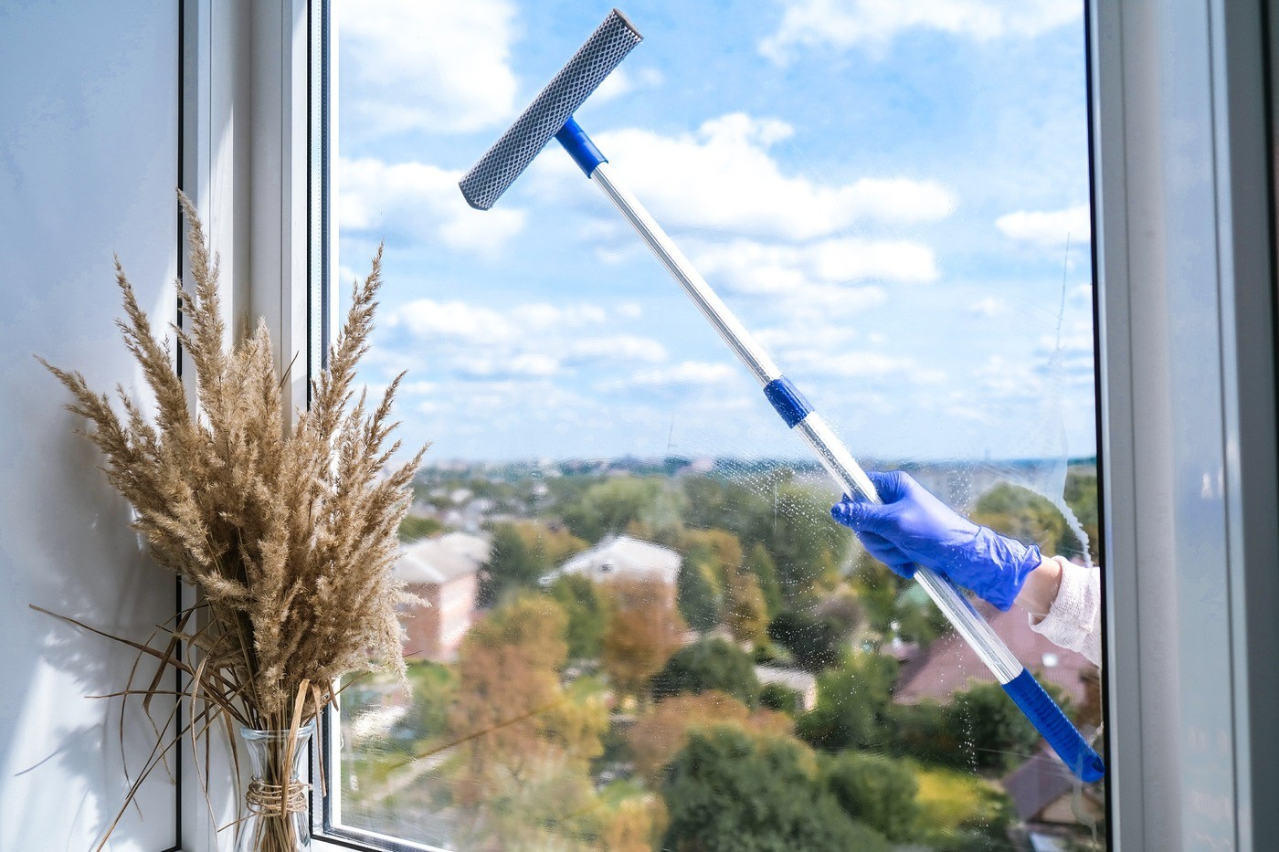 dg cleaning services window cleaning