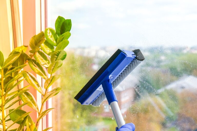 Residential Window Cleaning