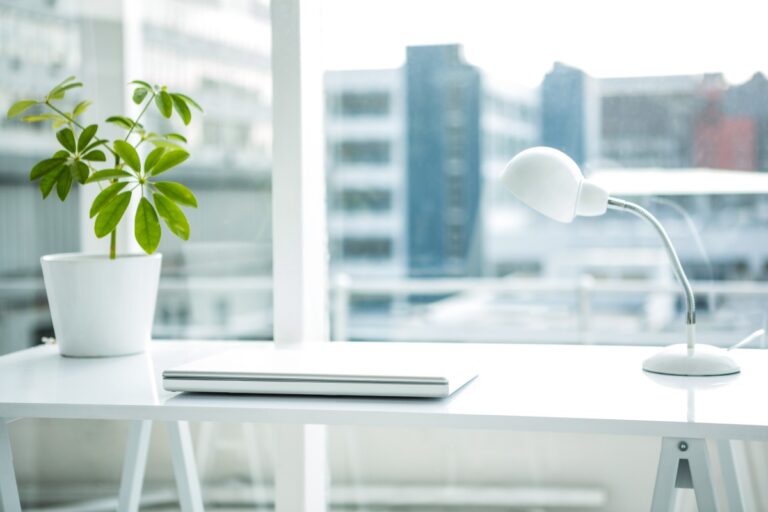 Office Window Cleaning Service